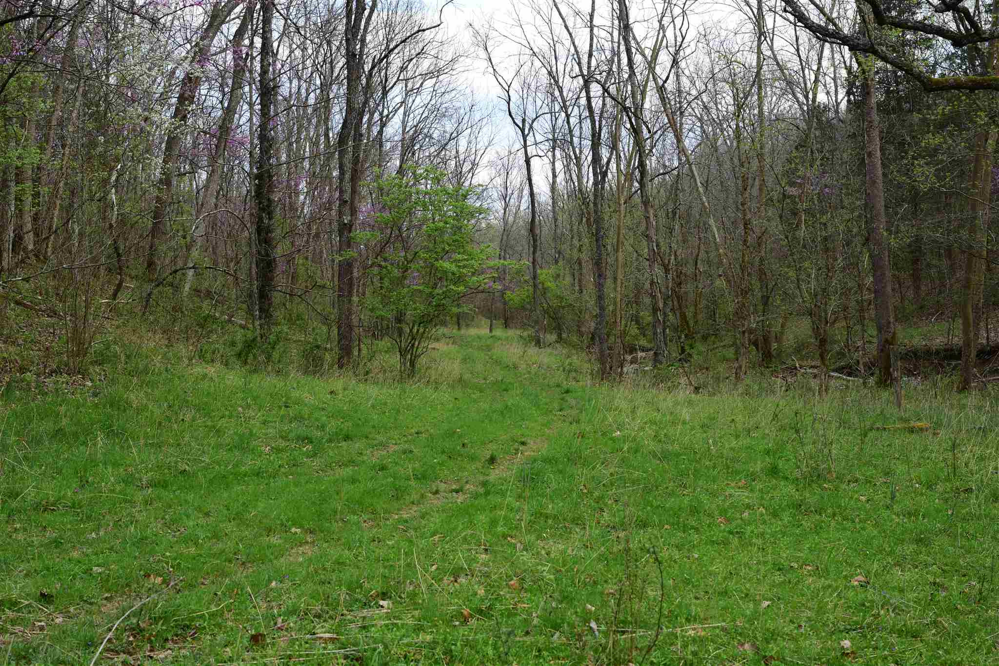 654 Belmont Road Brooksville, KY 41004 - Photo 33 of 50 Gallery Image 33