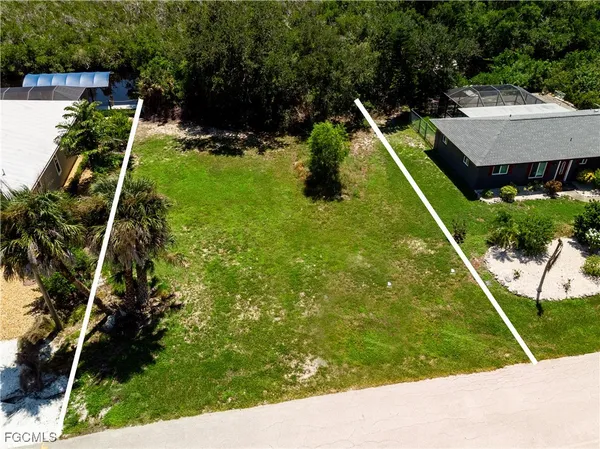 a view of a backyard with plants