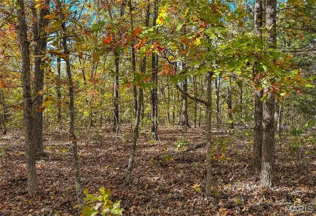 $582,370 | 0 Cedar Ford Road, Cook Sta, MO 65449