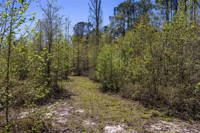 $652,500 | 6917 Northwest 254 Avenue, Alachua, FL 32615