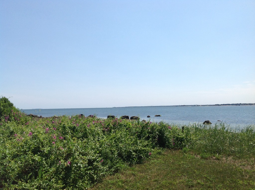 0 Sedgewick Road Fairhaven, MA 02719 - Photo 6 of 7 Gallery Image 6