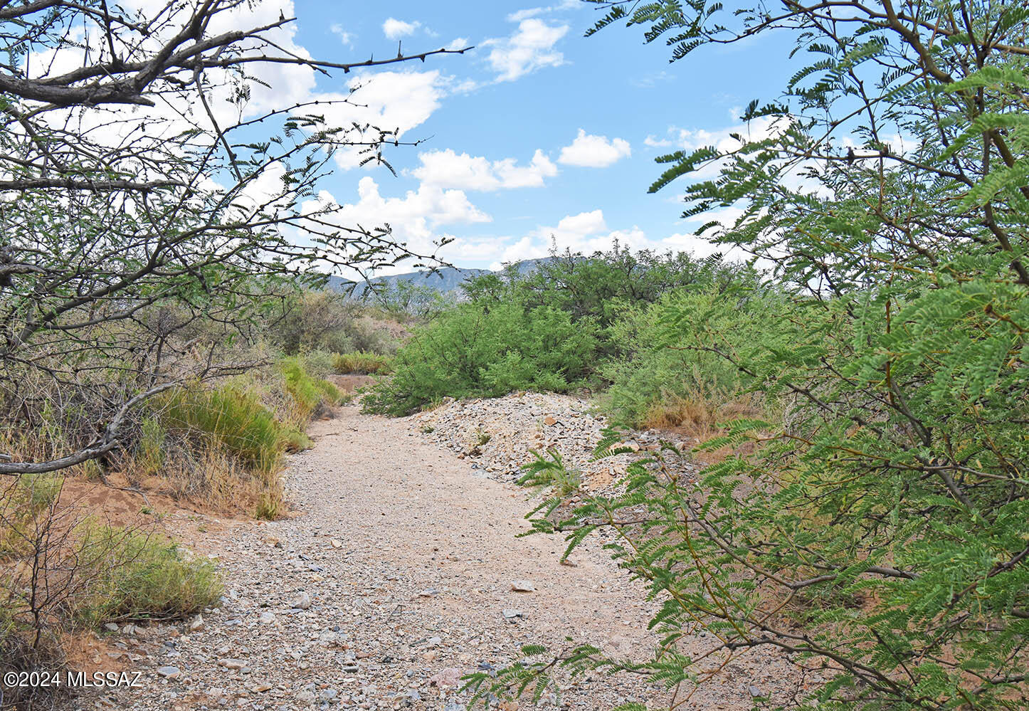 14-ac West Pearce Road, Unit 10 Cochise, AZ 85606 - Photo 12 of 20
