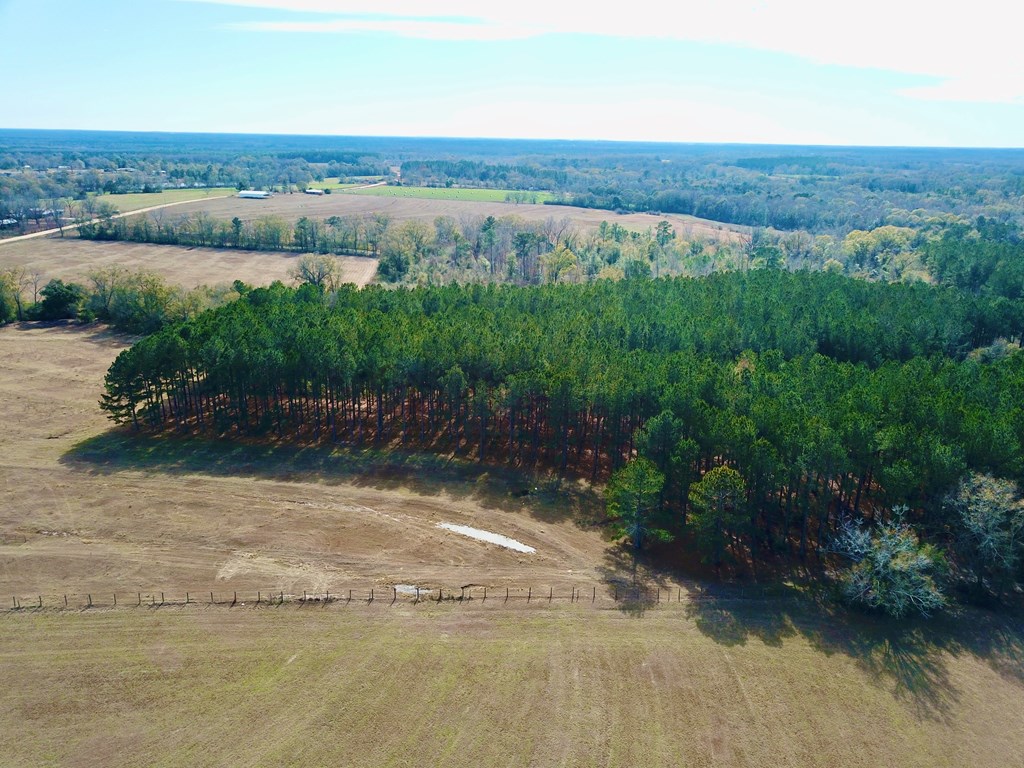 998 Sander Spur Road Slocomb, AL 36375 - Photo 54 of 69