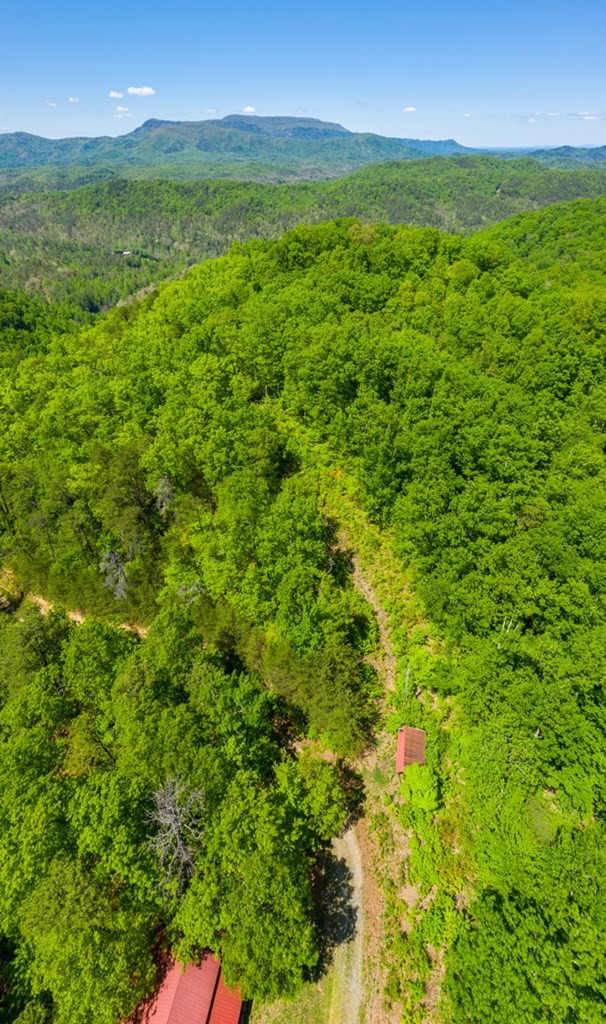 0 Henry Town Road Sevierville, TN 37876 - Photo 23 of 38 Gallery Image 23
