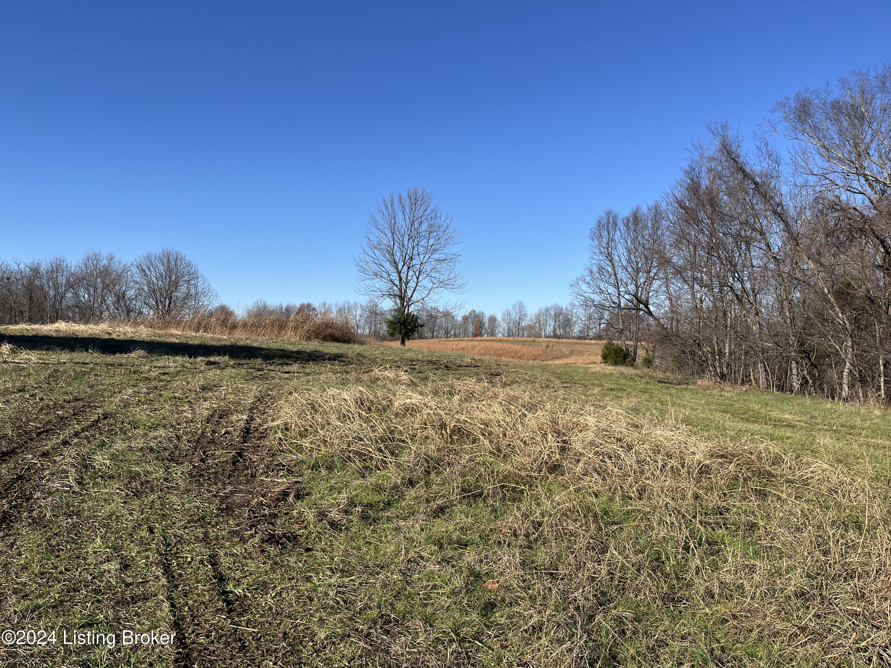 0 Morgantown Road Caneyville, KY 42721 - Photo 5 of 9 IMG_6617