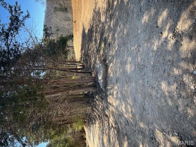 400 Hill Side Road De Soto, MO 63020 - Photo 11 of 13