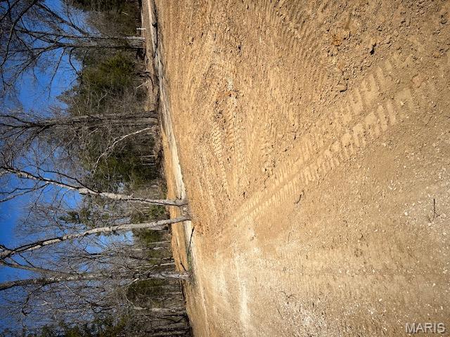 400 Hill Side Road De Soto, MO 63020 - Photo 4 of 13