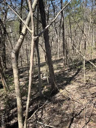 $55,000 | 400 Hill Side Road, De Soto, MO 63020