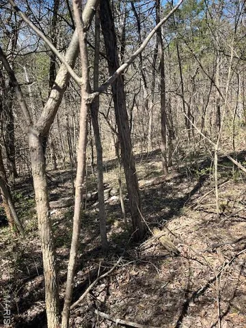 $55,000 | 400 Hill Side Road, De Soto, MO 63020