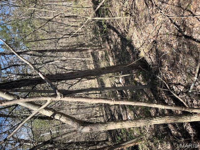 400 Hill Side Road De Soto, MO 63020 - Photo 6 of 13