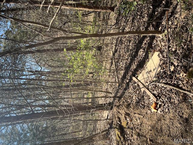 400 Hill Side Road De Soto, MO 63020 - Photo 7 of 13