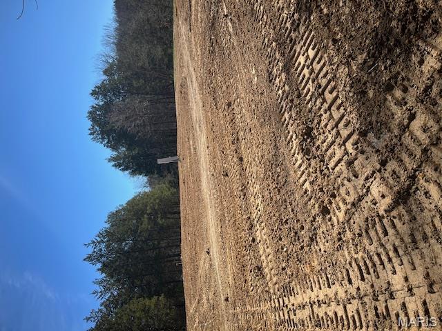 400 Hill Side Road De Soto, MO 63020 - Photo 8 of 13