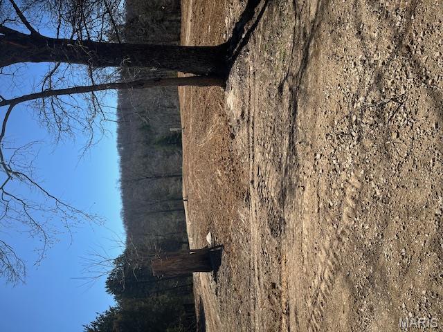 400 Hill Side Road De Soto, MO 63020 - Photo 9 of 13