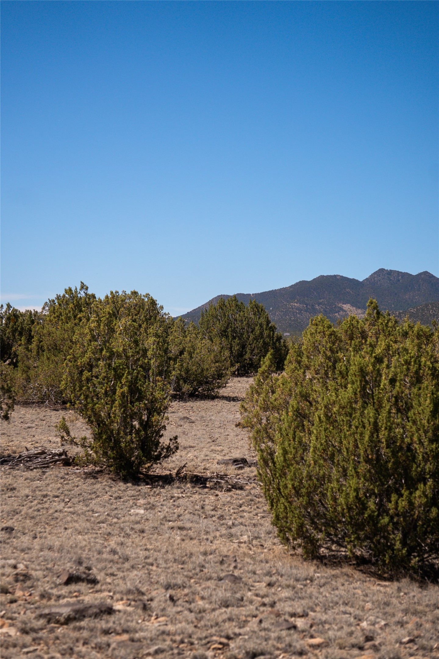 7 C Rancho De Shama, Unit A Cerrillos, NM 87010 - Photo 9 of 19