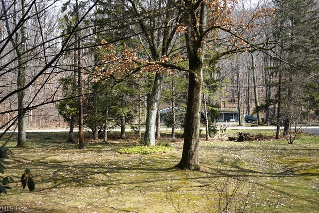 389 Miles Road Chagrin Falls, OH 44022 - Photo 1 of 9 Gallery Image 1
