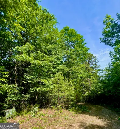 a view of a lake with a tree