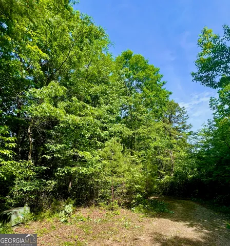 a view of a lake with a tree