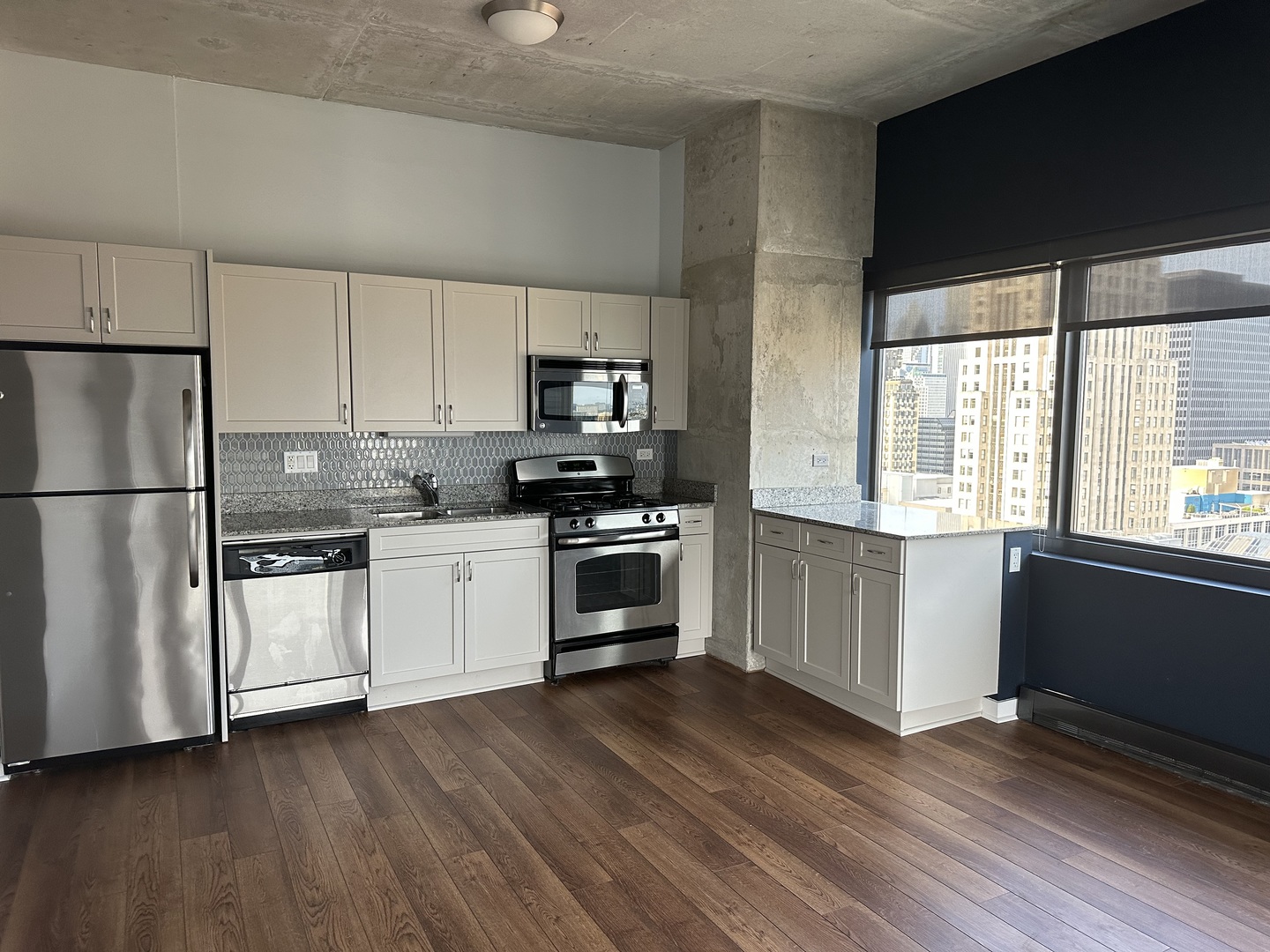 Undisclosed Address Chicago, IL 60607 - Photo 18 of 33