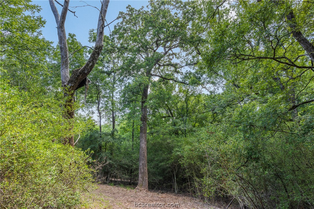 Tbd Weber Road Bryan, TX 77808 - Photo 19 of 43