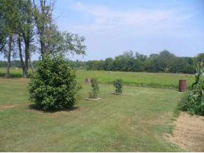 312 Spencer Pike Road Springville, IN 47462 - Photo 4 of 23