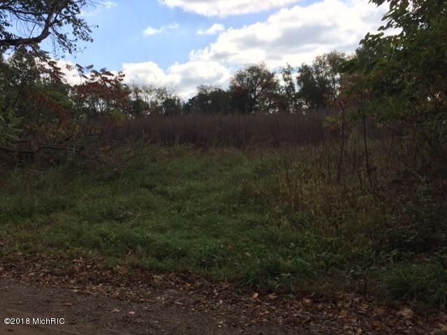 0 U Drive Drive Homer, MI 49245 - Photo 1 of 10