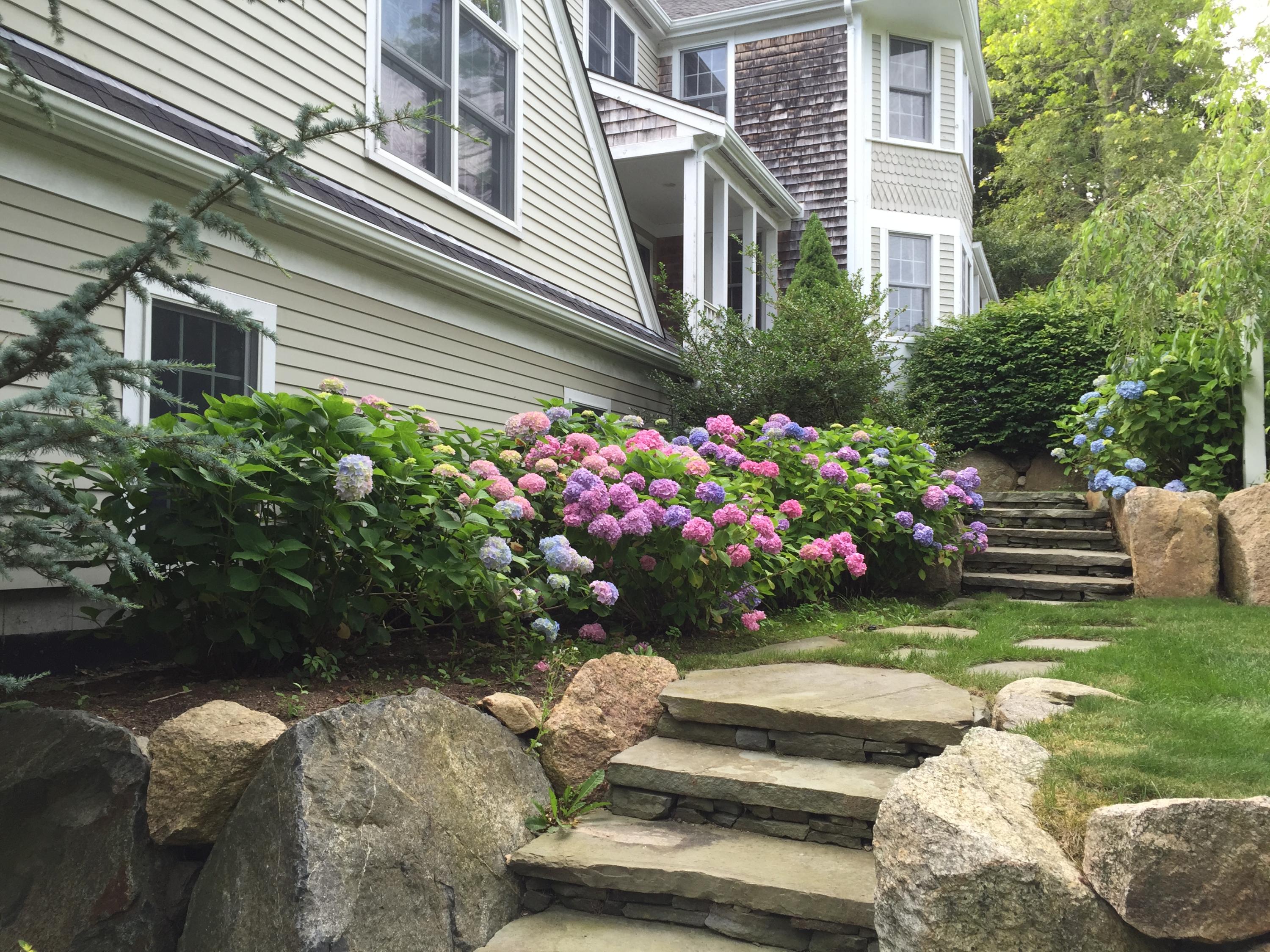 65 Trinity Place Centerville, MA 02632 - Photo 32 of 34 a front view of a house with a yard and a garden