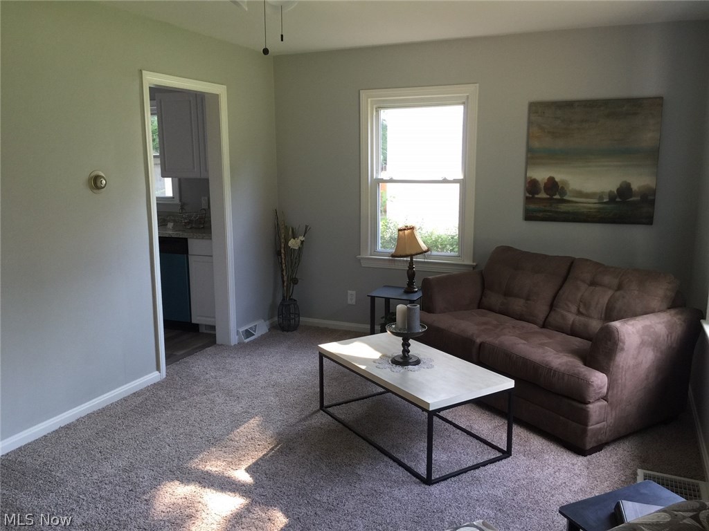 6227 Chapel Road Madison, OH 44057 - Photo 3 of 13