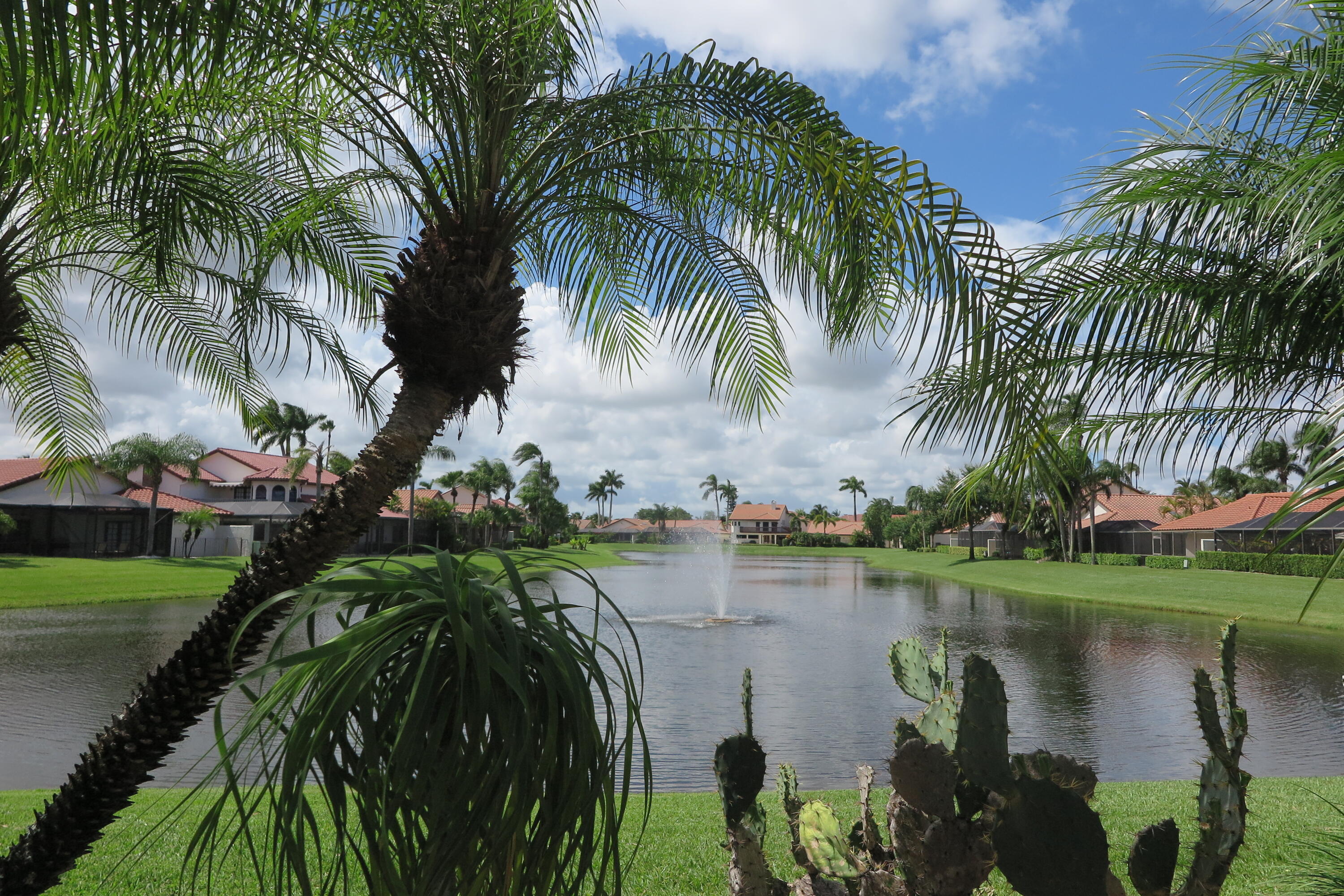 22519 Esplanada Circle, Unit W Boca Raton, FL 33433 - Photo 56 of 57 a view of a lake with a palm trees