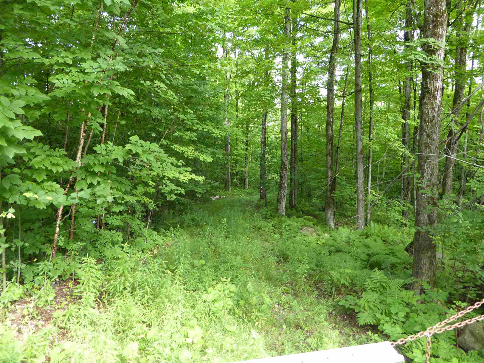 1314 Economou Road Huntington, VT 05462 - Photo 3 of 7 Gallery Image 3