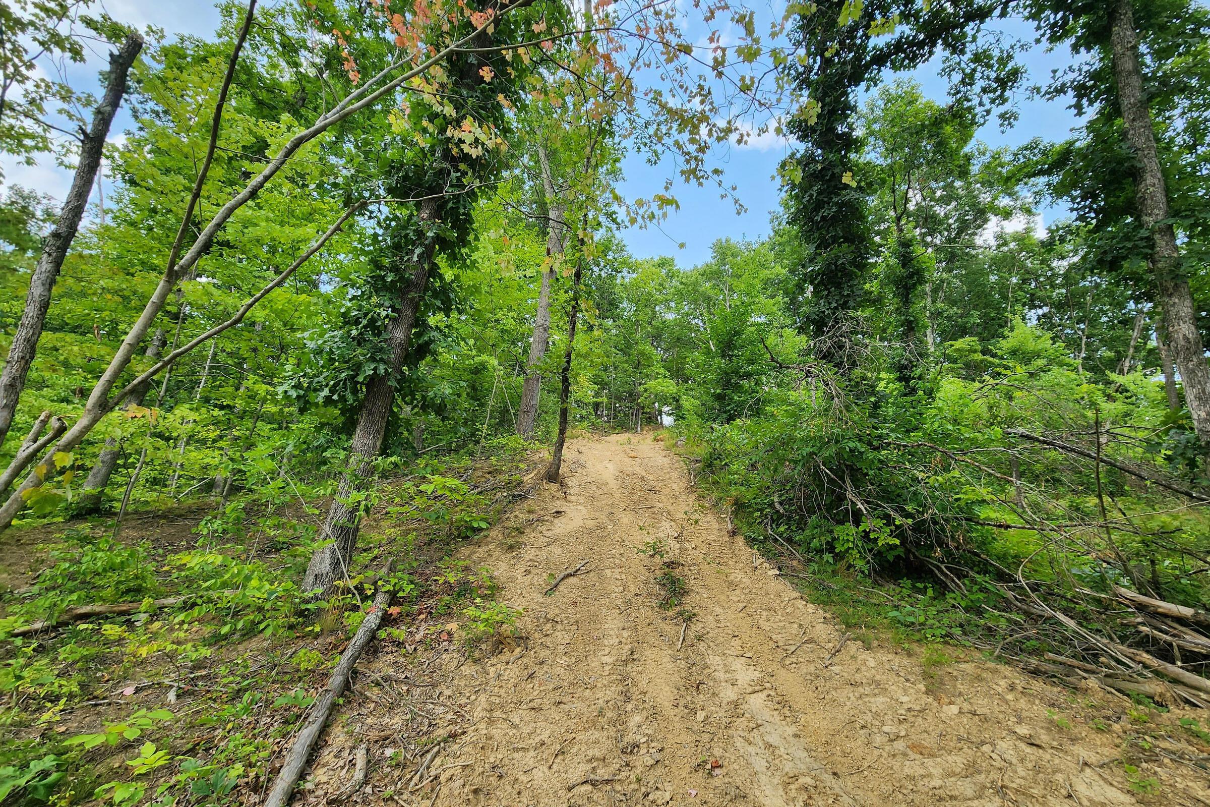 0 Back Run Road, Unit TRACT 3) Philo, OH 43771 - Photo 17 of 50 20230724_151603