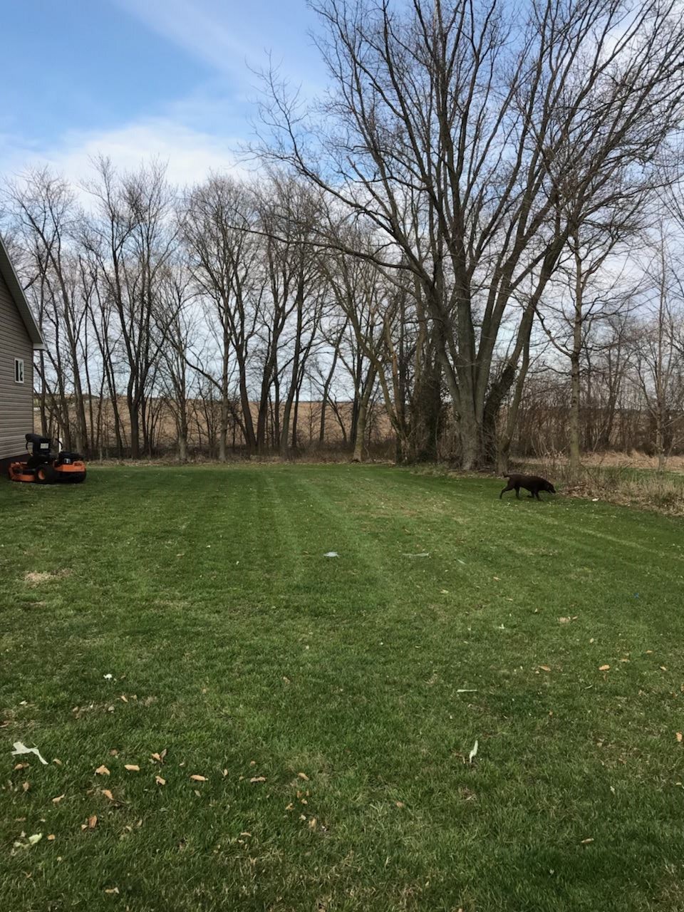 4484 North Golf Course Road Bruceville, IN 47516 - Photo 15 of 16