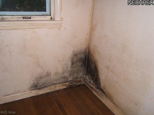 3535 Fenley Road Cleveland, OH 44121 - Photo 13 of 25 Gallery Image 13