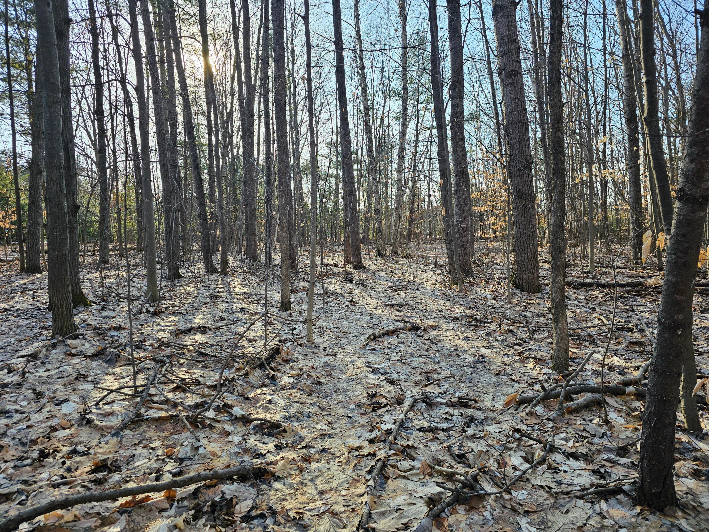 3379 South Extension Road Cheboygan, MI 49721 - Photo 26 of 44 Gallery Image 26