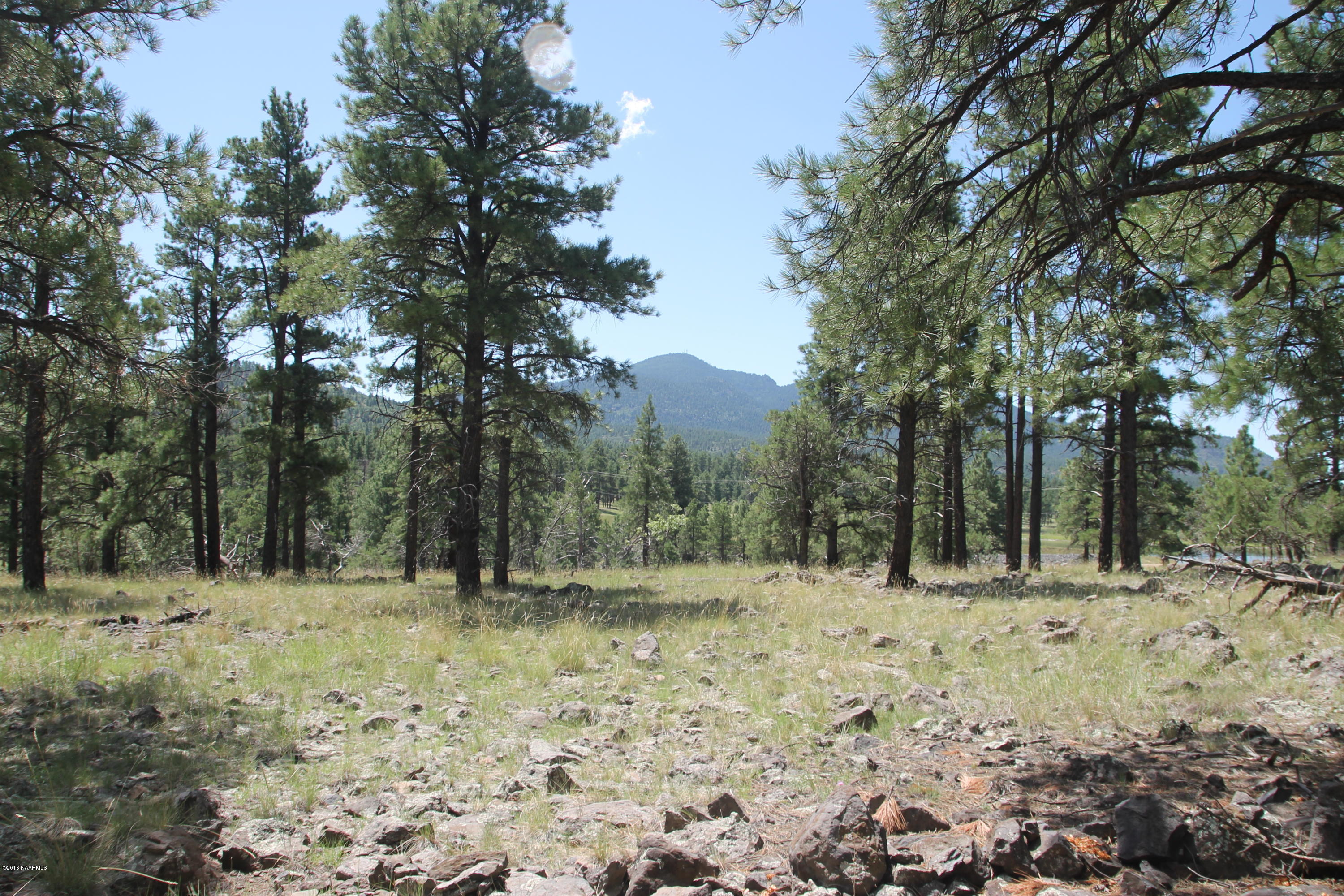 630-358 Cooper Ranch Road Williams, AZ 86046 - Photo 11 of 12 IMG_3629