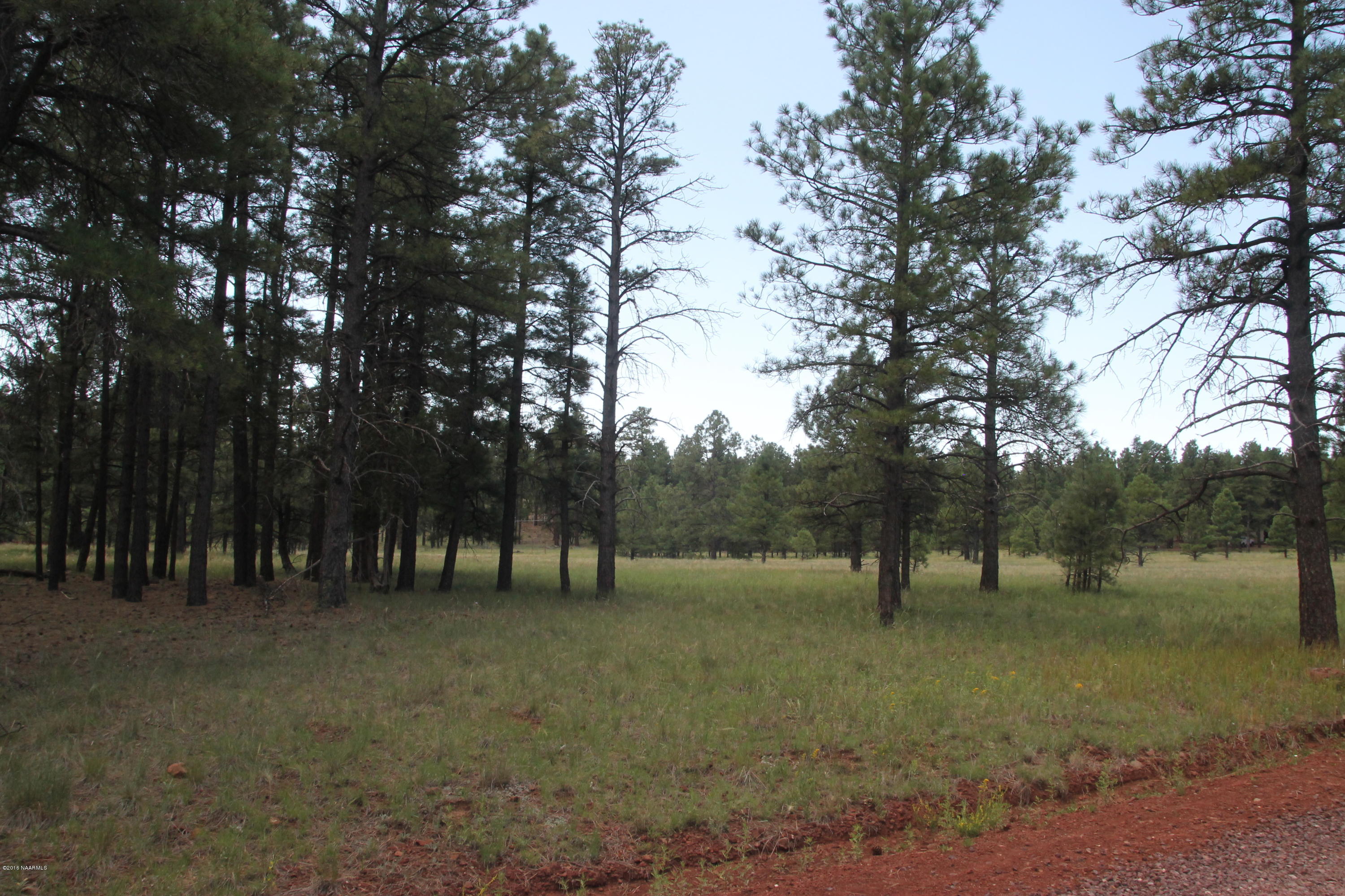 630-358 Cooper Ranch Road Williams, AZ 86046 - Photo 8 of 12 IMG_3634