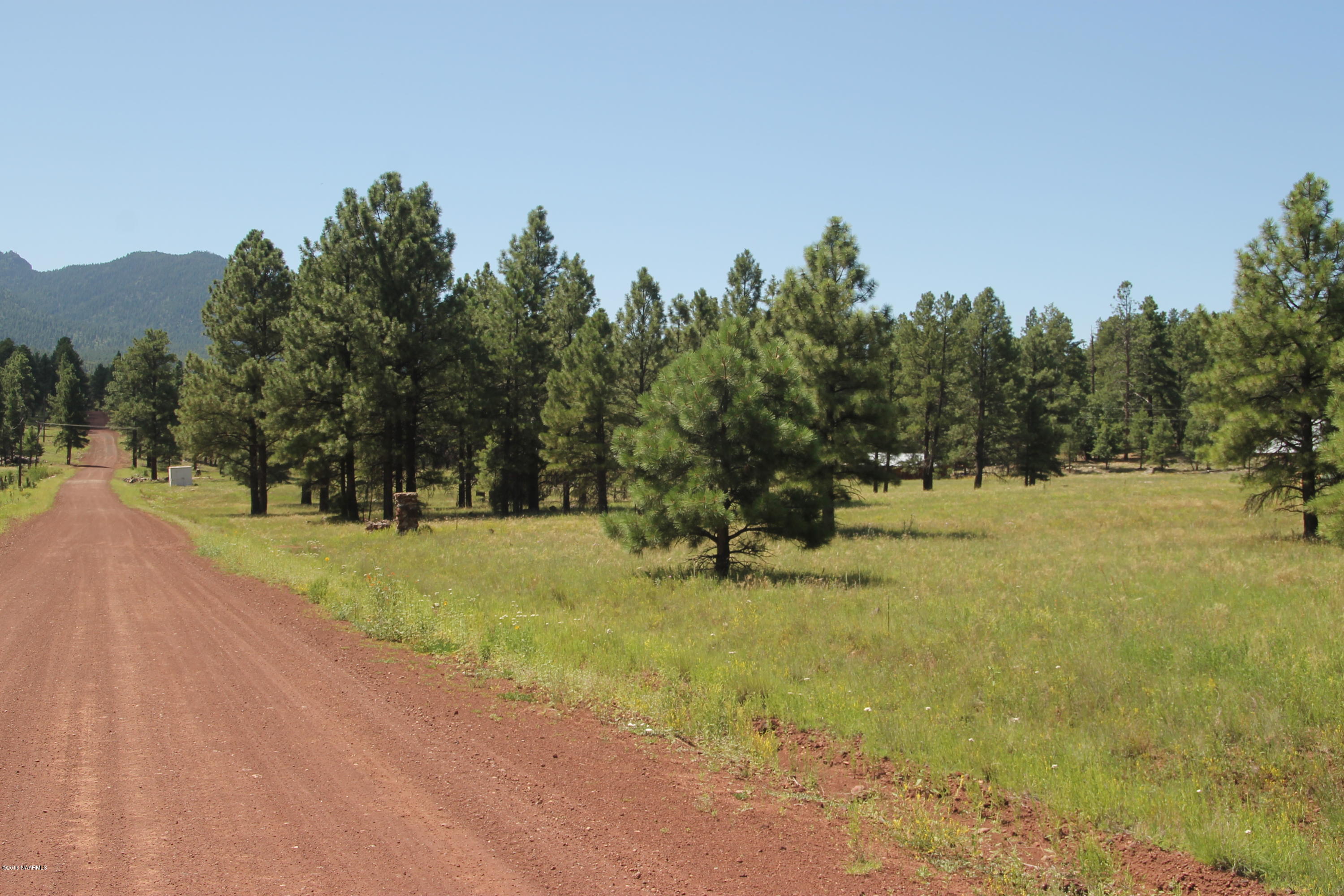 630-358 Cooper Ranch Road Williams, AZ 86046 - Photo 9 of 12 IMG_3632