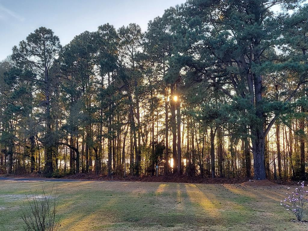 4561 Nelson's Ferry Road Summerton, SC 29148 - Photo 32 of 33 Gallery Image 32