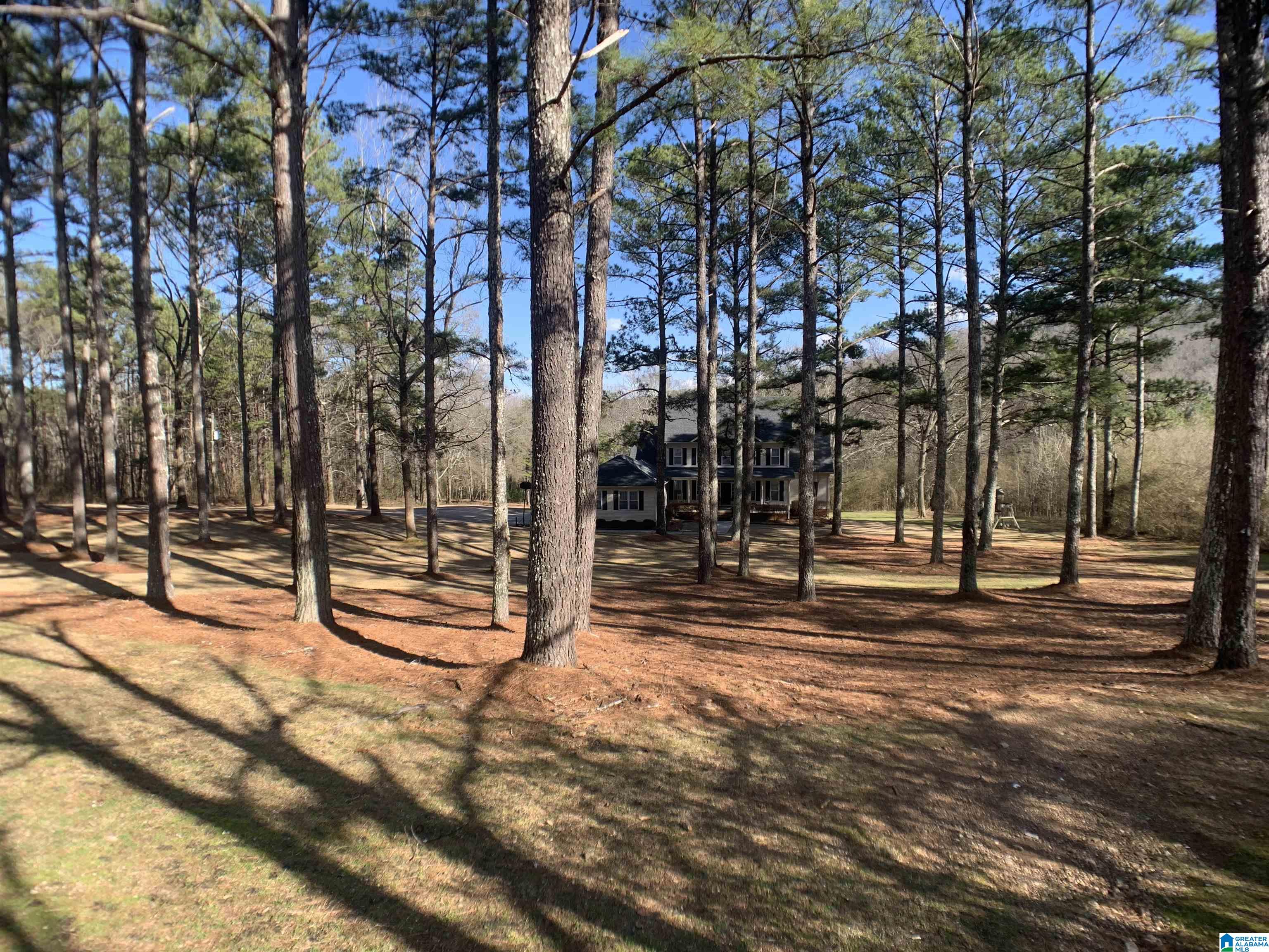 311 Oak Ridge Lane Piedmont, AL 36272 - Photo 46 of 50