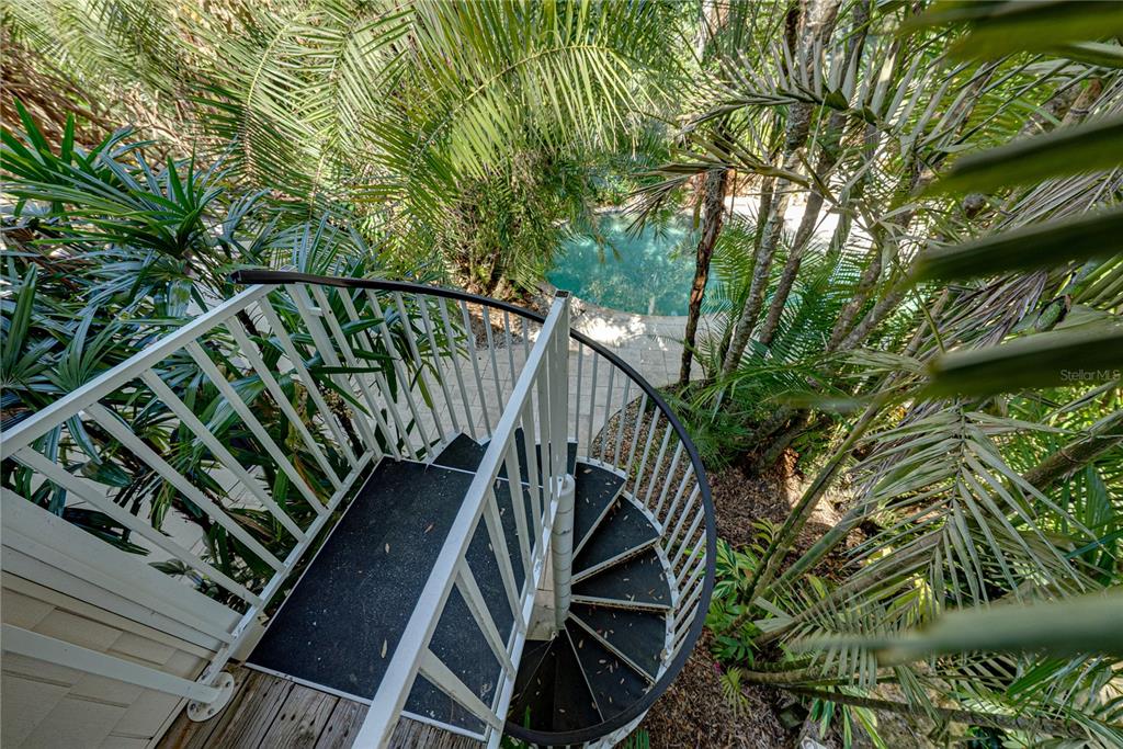 3515 Gallagher Road Dover, FL 33527 - Photo 17 of 100