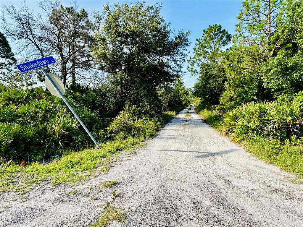 0 Shakedown Street St. Cloud, FL 34773 - Photo 11 of 13