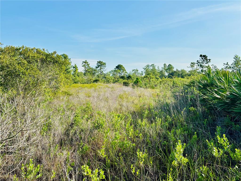 0 Shakedown Street St. Cloud, FL 34773 - Photo 2 of 13