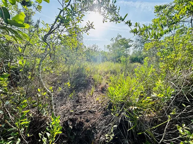 a view of a pathway both side of yard