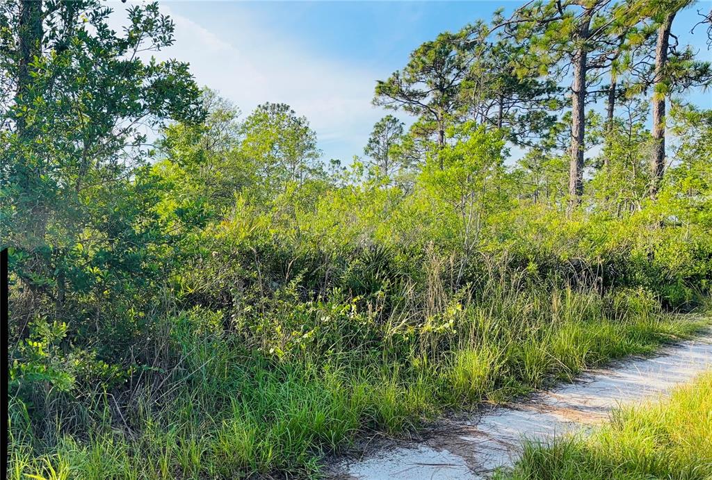 0 Shakedown Street St. Cloud, FL 34773 - Photo 6 of 13 a view of a garden