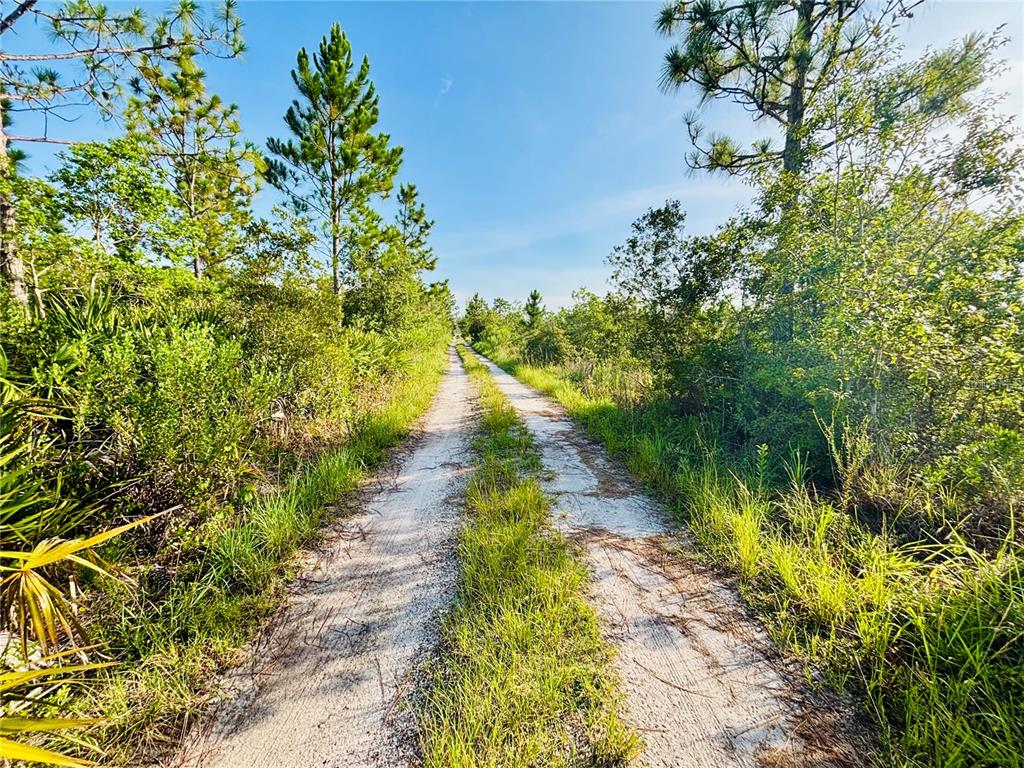 0 Shakedown Street St. Cloud, FL 34773 - Photo 7 of 13 a view of a pathway both side of yard