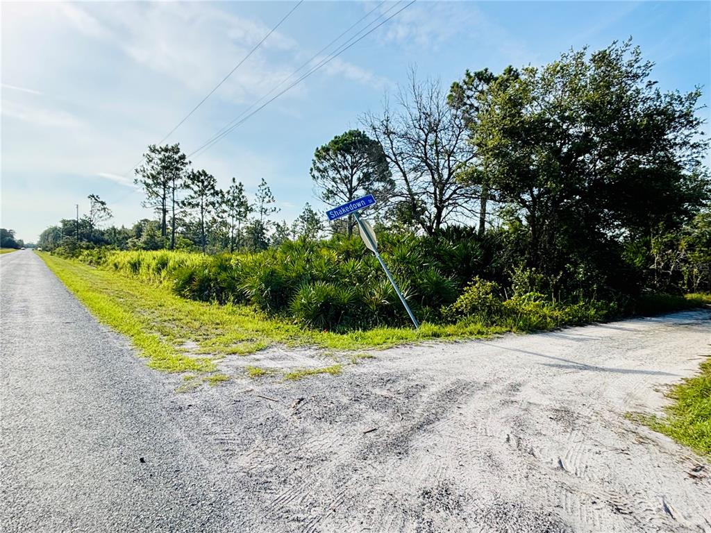 0 Shakedown Street St. Cloud, FL 34773 - Photo 10 of 13 a view of a backyard