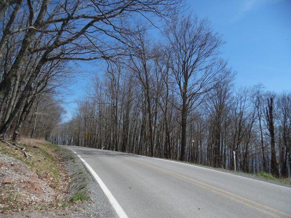 6185 Cass Road Slatyfork, WV 26209 - Photo 3 of 10 Gallery Image 3