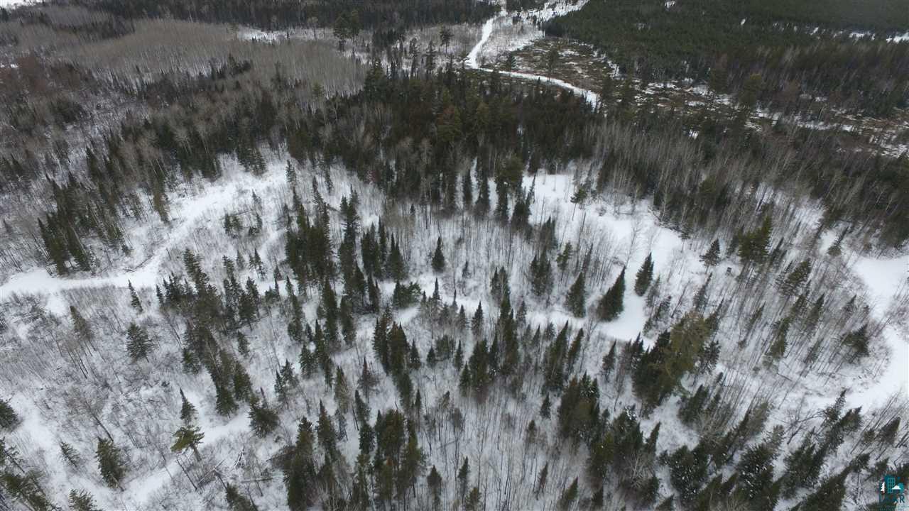 Xx40 Xx40 Diamond Match Logging Road Orr, MN 55771 - Photo 4 of 11