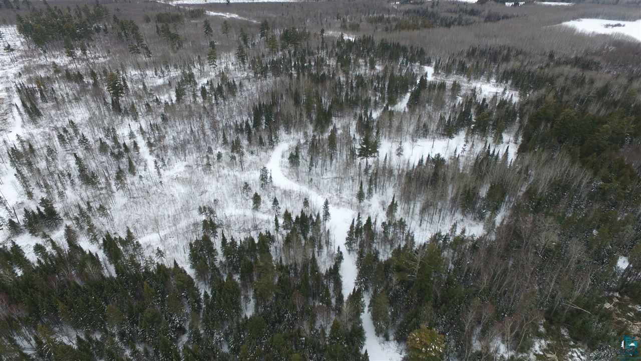 Xx40 Xx40 Diamond Match Logging Road Orr, MN 55771 - Photo 6 of 11