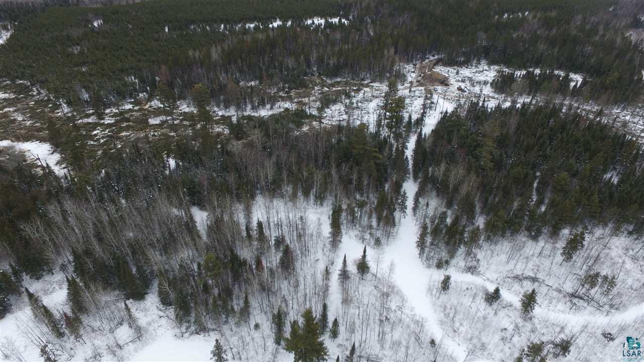 Xx40 Xx40 Diamond Match Logging Road Orr, MN 55771 - Photo 7 of 11