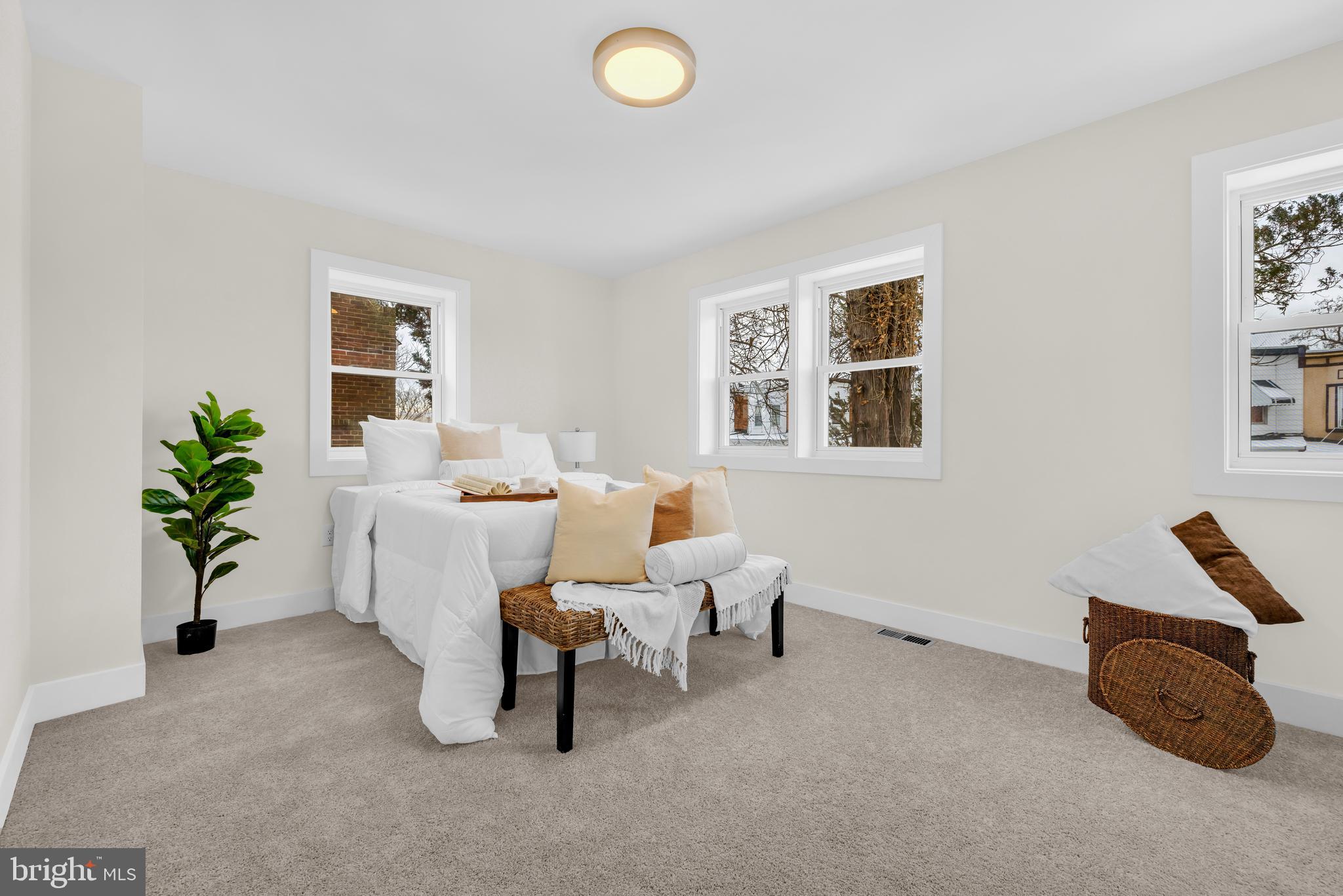 3827 Cottage Avenue Baltimore, MD 21215 - Photo 10 of 43 a living room with furniture and a potted plant